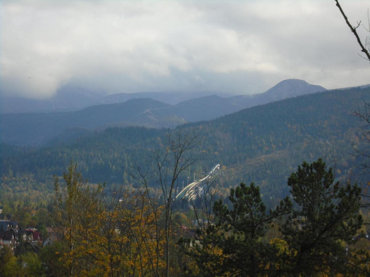 Willa Halusia Zakopane Buitenkant foto